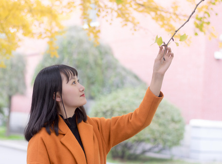 菲律宾旅行社手续(旅行社最新手续解析)